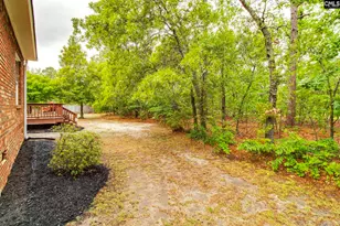 11 Hilltopper Ct, Blythewood, SC 29016 - Photo 33