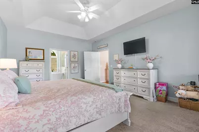 315 Old Landing Court, Chapin, SC 29036 - Photo 21