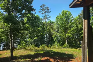 447 Harbor View Dr, Prosperity, SC 29127 - Photo 33