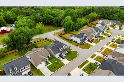 1331 Tamarind Lane, Chapin, SC 29036 - Photo 55