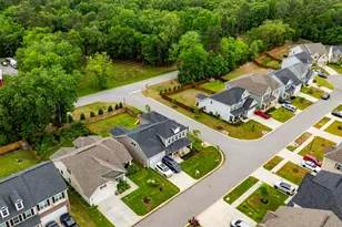1331 Tamarind Ln, Chapin, SC 29036 - Photo 55