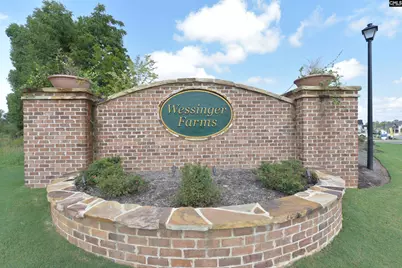 1331 Tamarind Lane, Chapin, SC 29036 - Photo 45