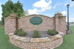1331 Tamarind Ln, Chapin, SC 29036 - Photo 45