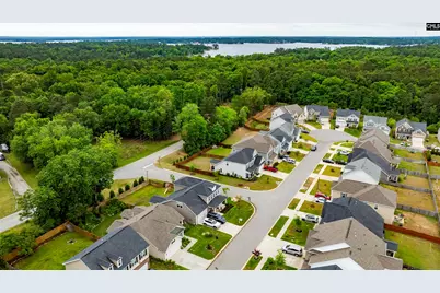 1331 Tamarind Lane, Chapin, SC 29036 - Photo 67