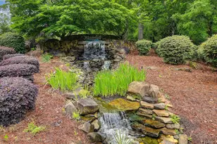 523 Whitewater Dr, Irmo, SC 29063 - Photo 35