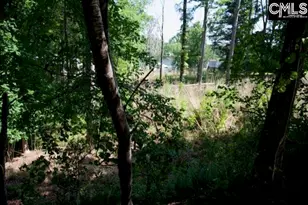 415 Alice Harris Rd, Prosperity, SC 29127 - Photo 1