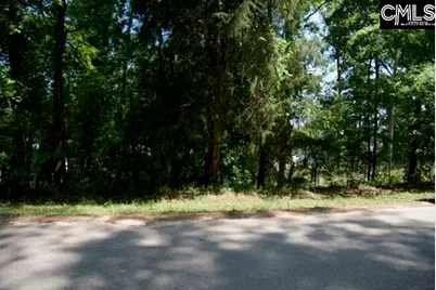 415 Alice Harris Road #20, Prosperity, SC 29127 - Photo 5