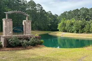 249 Conifer St, Hardeeville, SC 29927 - Photo 3