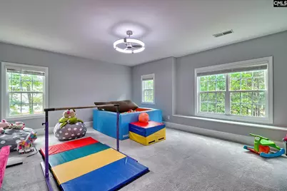 2435 Old Lexington Highway, Chapin, SC 29036 - Photo 41