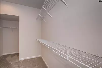 147 Doolittle Drive, Chapin, SC 29036 - Photo 19
