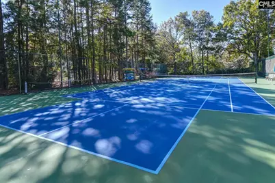 1441 Old Chapin Road 721, Lexington, SC 29072 - Photo 27