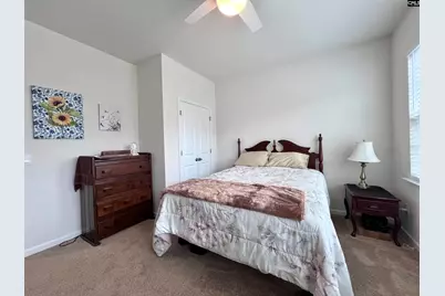 819 Trident Maple Lane, Chapin, SC 29036 - Photo 29