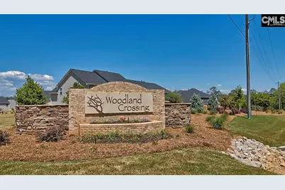 819 Trident Maple Lane, Chapin, SC 29036 - Photo 45