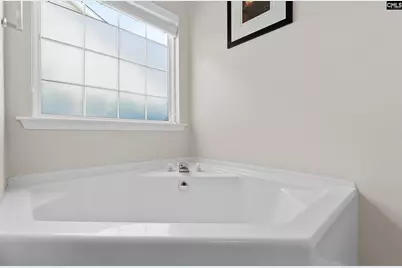 111 Abbie Court, Lexington, SC 29072 - Photo 17