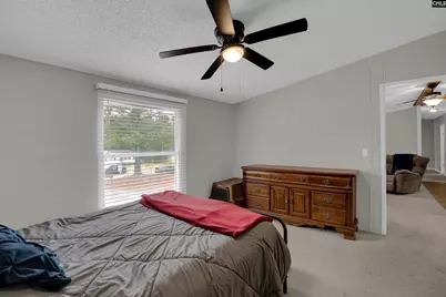 209 Boiling Springs Lane, Lexington, SC 29073 - Photo 17