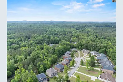 357 Bent Oak Drive, Chapin, SC 29036 - Photo 55