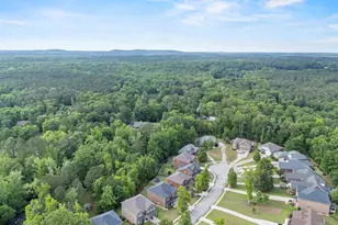 357 Bent Oak Dr, Chapin, SC 29036 - Photo 55