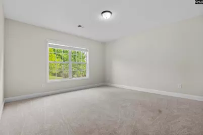 357 Bent Oak Drive, Chapin, SC 29036 - Photo 31
