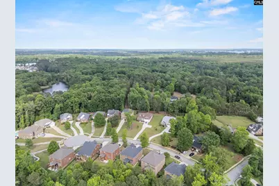 357 Bent Oak Drive, Chapin, SC 29036 - Photo 59