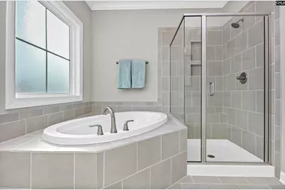 142 Almofini Lane, Chapin, SC 29036 - Photo 27