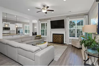 142 Almofini Lane, Chapin, SC 29036 - Photo 5