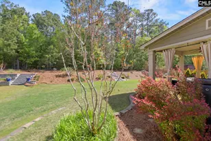 436 Bowhunter Dr, Blythewood, SC 29016 - Photo 55