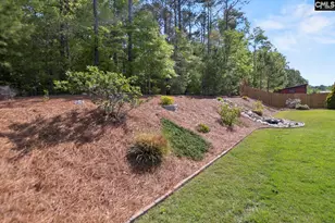 436 Bowhunter Dr, Blythewood, SC 29016 - Photo 53