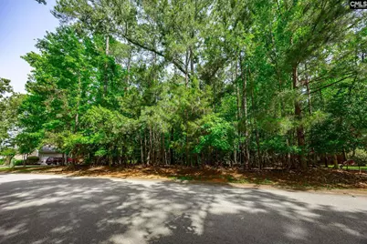 506 Timberlake Drive, Chapin, SC 29036 - Photo 3