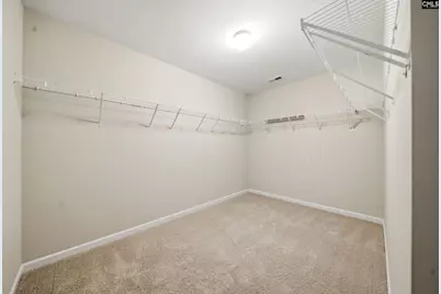 317 Eagle Claw Drive, Chapin, SC 29036 - Photo 17