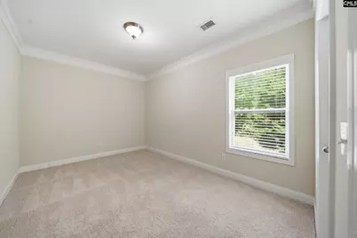 317 Eagle Claw Drive, Chapin, SC 29036 - Photo 11