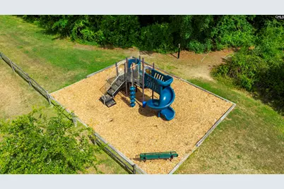 174 Madison Park Drive, Lexington, SC 29072 - Photo 49