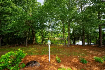 174 Madison Park Drive, Lexington, SC 29072 - Photo 45