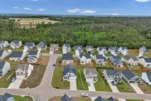 305 Red Globe Trl, Lexington, SC 29072 - Photo 39