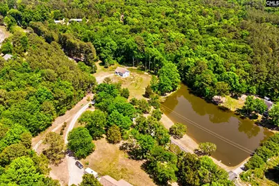 1133 Old Hilton Road, Chapin, SC 29036 - Photo 43