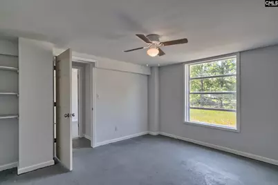 1133 Old Hilton Road, Chapin, SC 29036 - Photo 39