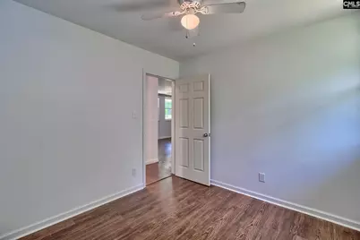 1133 Old Hilton Road, Chapin, SC 29036 - Photo 31
