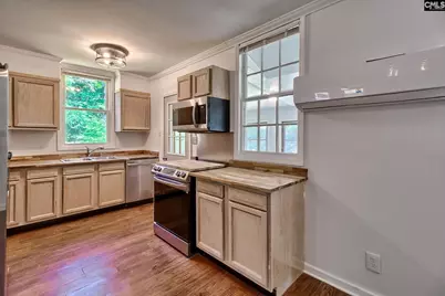 1133 Old Hilton Road, Chapin, SC 29036 - Photo 19
