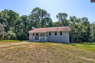 1133 Old Hilton Rd, Chapin, SC 29036 - Photo 1