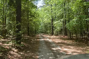 388 Sessions Rd, Elgin, SC 29045 - Photo 11