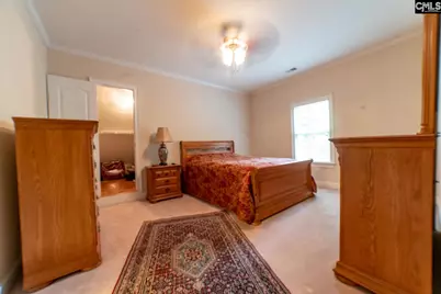 204 Ascot Glen Road, Irmo, SC 29063 - Photo 65