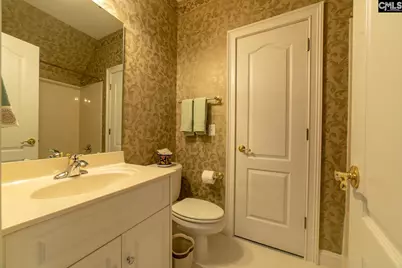 204 Ascot Glen Road, Irmo, SC 29063 - Photo 59