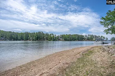 1137 Hilton Point Road, Chapin, SC 29036 - Photo 3