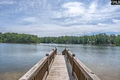 1137 Hilton Point Road, Chapin, SC 29036 - Photo 1