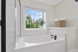 145 Indian Grass Dr, Chapin, SC 29036 - Photo 31