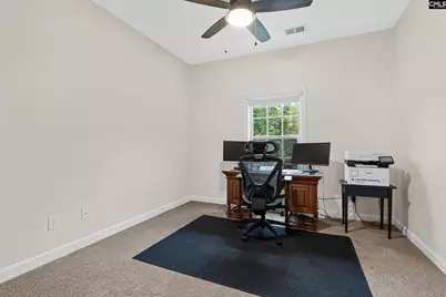 145 Indian Grass Drive, Chapin, SC 29036 - Photo 19