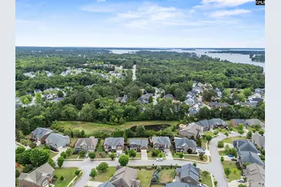 145 Indian Grass Drive, Chapin, SC 29036 - Photo 47