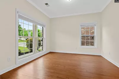 145 Indian Grass Drive, Chapin, SC 29036 - Photo 5