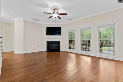 145 Indian Grass Drive, Chapin, SC 29036 - Photo 11