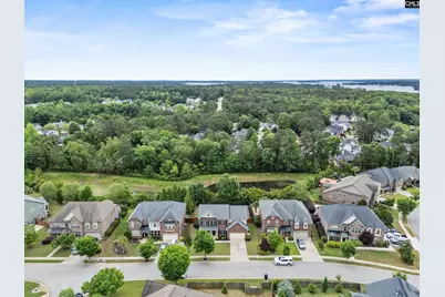 145 Indian Grass Drive, Chapin, SC 29036 - Photo 45