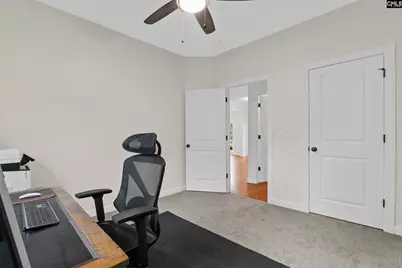 145 Indian Grass Drive, Chapin, SC 29036 - Photo 23